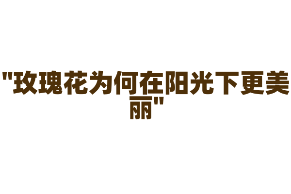 "玫瑰花为何在阳光下更美丽"